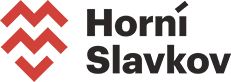 HS Logo